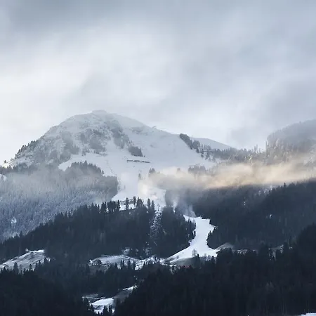 Feichter Pensión 3*