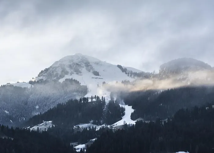 Feichter بيت ضيافة 3*